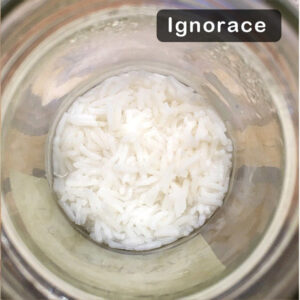 Ignorace - rýže